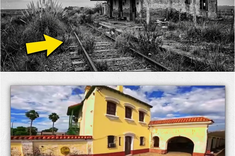 EL PLAN SECRETO QUE MATÓ AL FERROCARRIL ARGENTINO — 28.000 KM DE VÍAS CERRADAS EN TREINTA AÑOS
