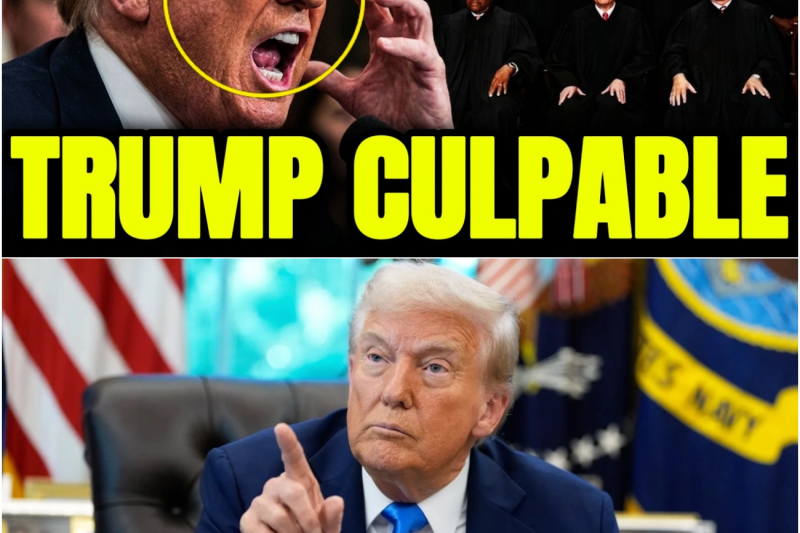 Trump se derrumba cuando un juez federal le quita el poder para siempre.