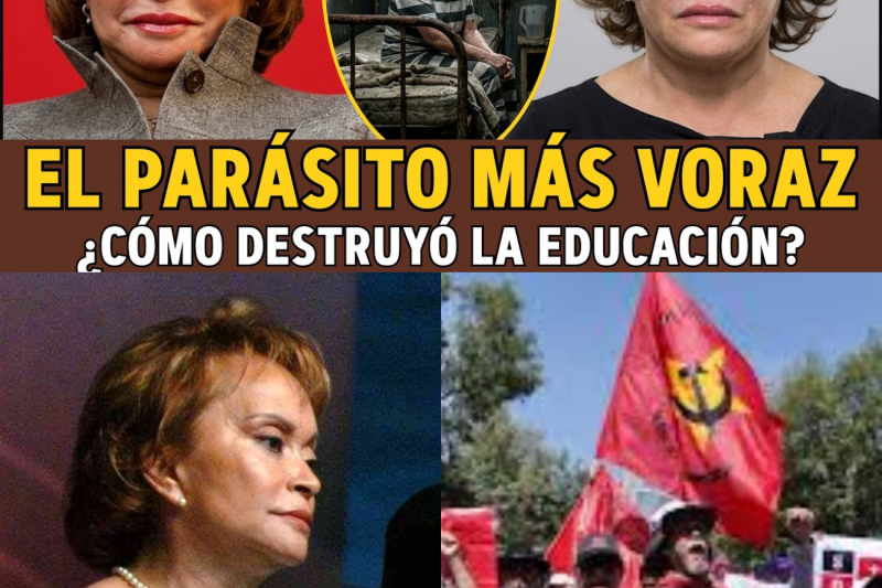 Elba Esther Gordillo: El Imperio de Lujos, la Tragedia Familiar y la Boda que Terminó en Humillación Pública