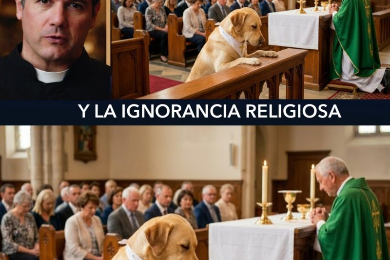 El Sacrilegio de la Ignorancia: ¿Comunión para Perros en la Iglesia?