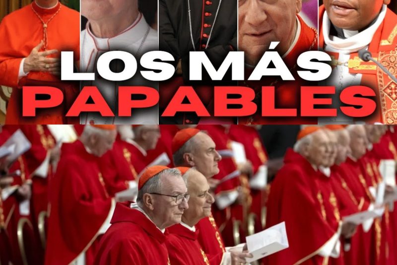 ¿Cómo eran los cinco cardenales que surgieron como posibles sucesores del Papa Francisco?