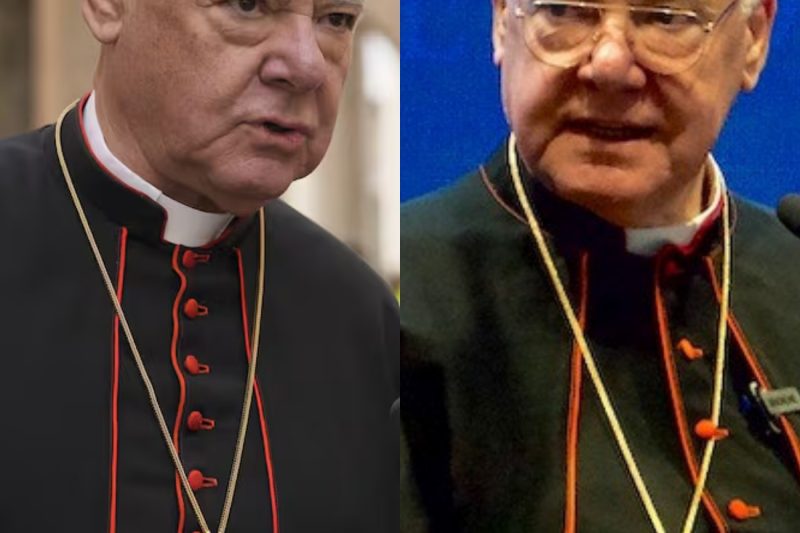 El CARDENAL MÜLLER sacude al mundo católico con un duro ataque contra el SÍNODO: ¡Es una BLASFEMIA!