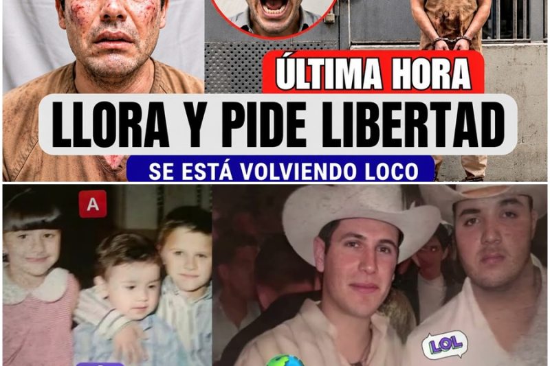 Así Vive El Chapito en la Cárcel: De Heredero de El Chapo a Llorar Solo en una Celda a