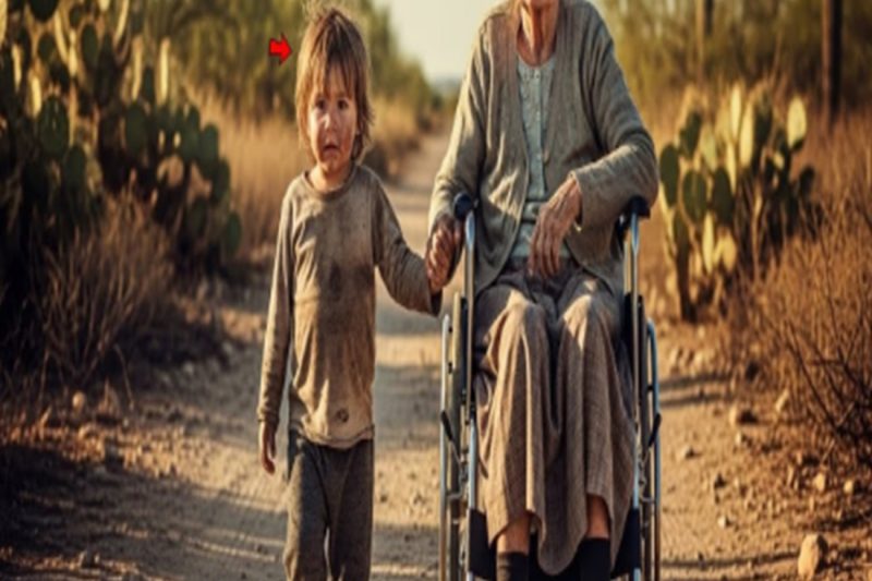 La Abandonaron Por “Pobre”… Sus Hijos La Rechazaron, Pero Su Niño Adoptado Descubrió Un SECRETO