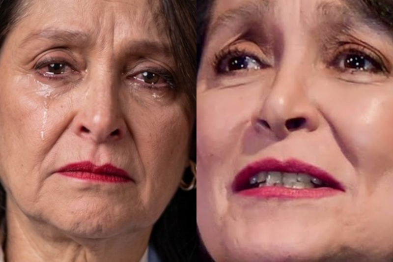 ¿El pacto más desgarrador del espectáculo? La impactante verdad tras los 44 años de silencio de Daniela Romo