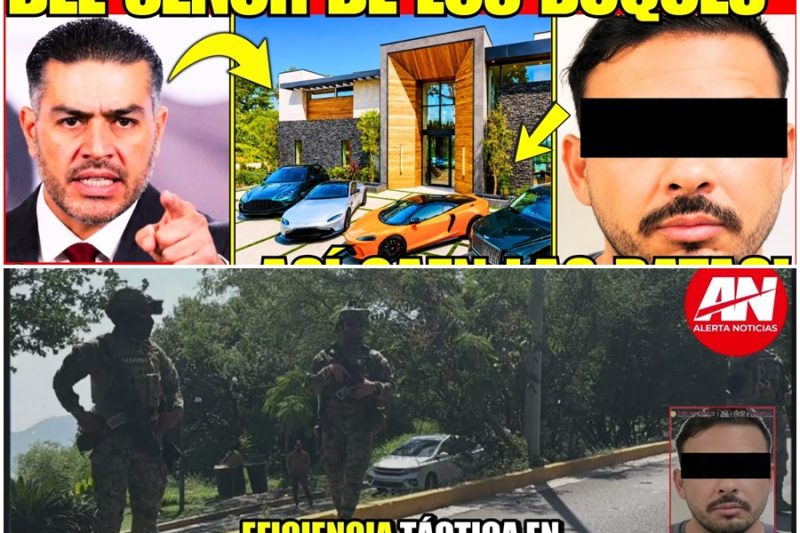 ¡HARFUCH CATEA la MANSIÓN de “EL SEÑOR DE LOS BUQUES”; MILLONES, TIGRES y ARMAS! Noticia de última hora. Harfuch ordenó el cateo de una mansión millonaria comprada con dinero del huachicol fiscal