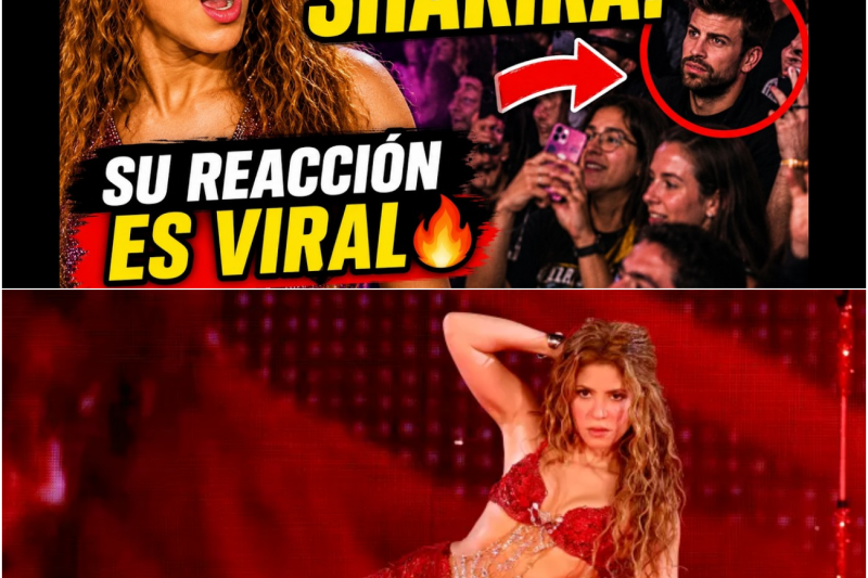 El inesperado encuentro visual de Shakira en pleno concierto que paraliza las redes sociales