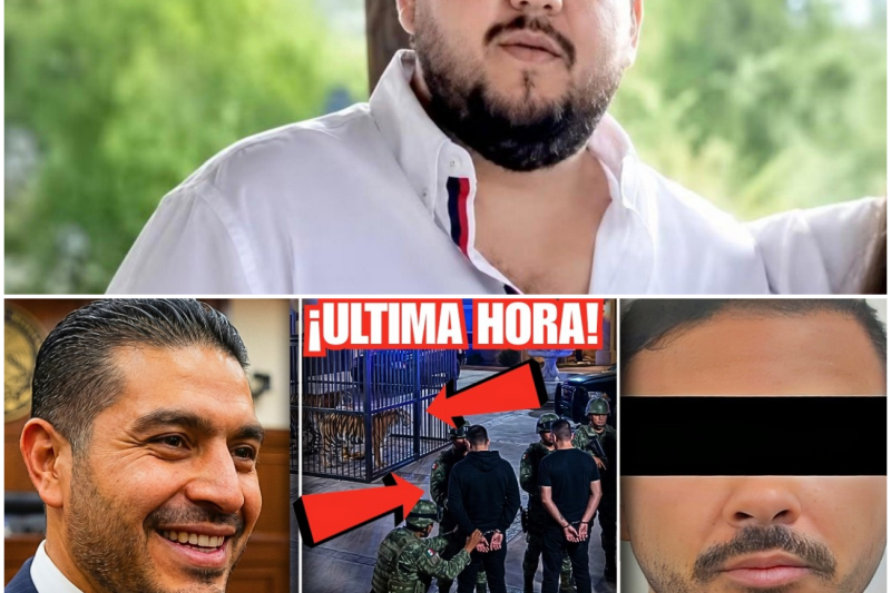 El Fin del “Titán”: Tigres, Buques y la Red de Huachicol VIP del Cártel del Noreste que Harfuch Desmanteló