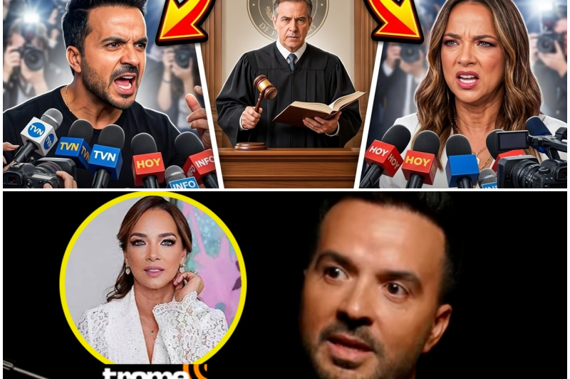Luis Fonsi y Adamari López: El Nuevo Escándalo Mediático, la Falta de Empatía y las Severas Consecuencias Legales por Revelar Intimidades