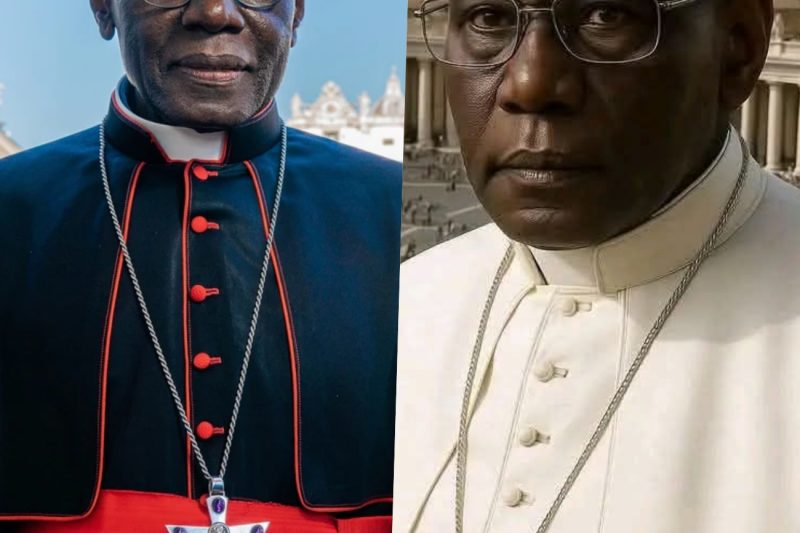 ROBERT SARAH: SI ÉL ES EL PAPA, CUMPLIRÁ LA PROFECÍA!…
