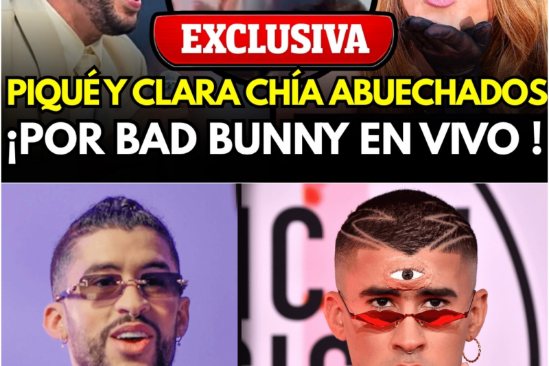 El Inesperado Mensaje En Un Concierto De Barcelona Que Expuso A Piqué Y Clara Chía Ante Miles De Fanáticos