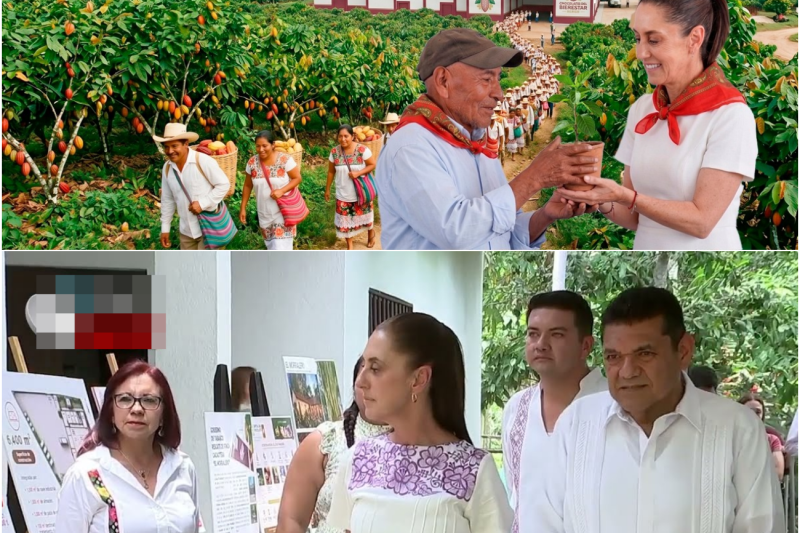 ¡Nadie lo vio venir! El monumental megaproyecto de Sheinbaum en Tabasco con el que México conquistará los mercados de Europa