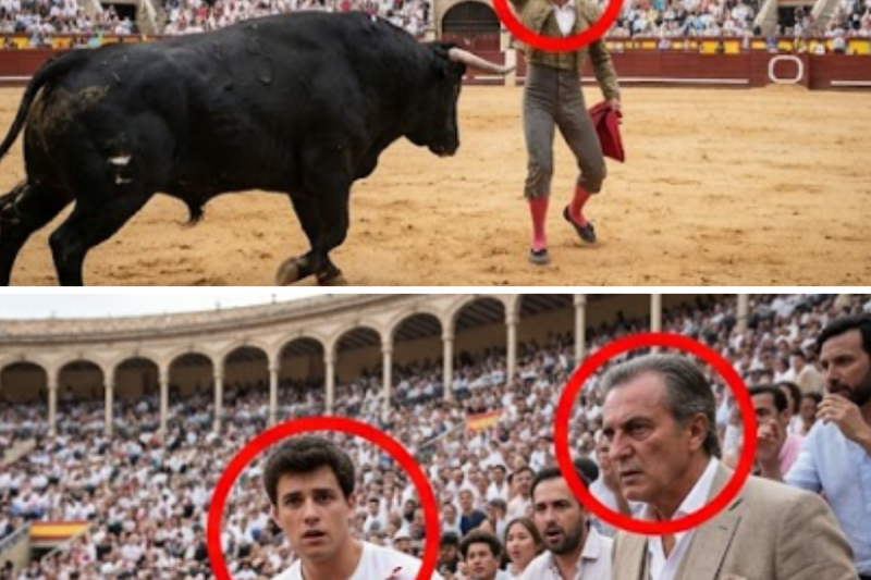 LA ESTOCADA DE LA SOMBRA: SANGRE EN EL RUEDO VALENCIANO