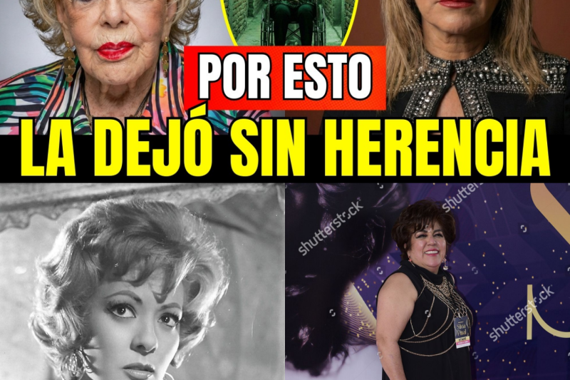 El Secreto Final de Silvia Pinal: La Herencia que Destruyó a su Dinastía y la Hija que Nunca Pudo Olvidar