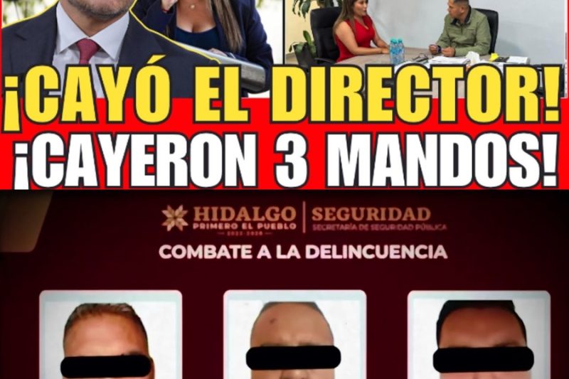 ¡CAYÓ EL DIRECTOR HUACHICOLERO! | HARFUCH DESTAPA RED POLICIAL DEL CÁRTEL EN TEZONTEPECc