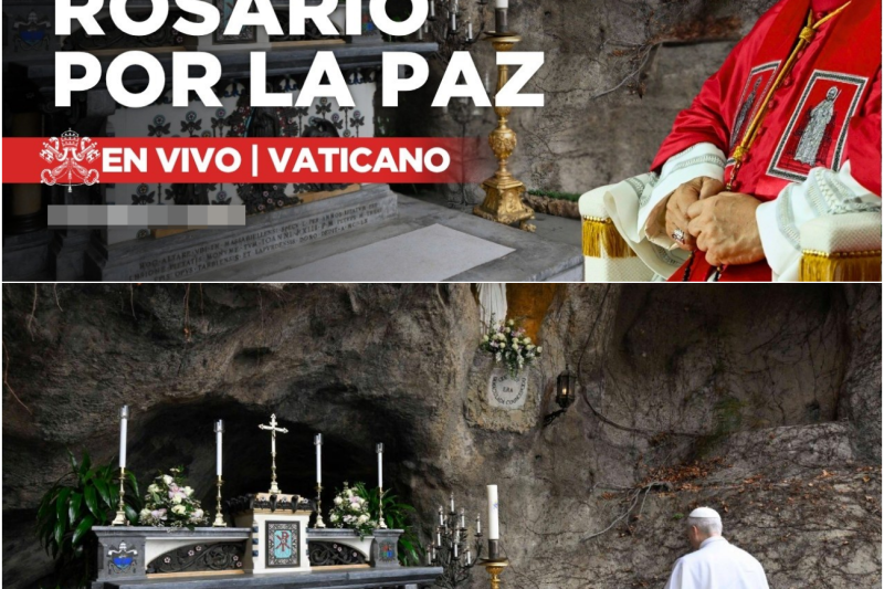 El Grito del Vaticano: El Papa León XIV Sacude al Mundo con un Histórico y Desgarrador Llamado a la Paz Global