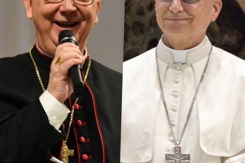 El OBISPO Eleganti al PAPA: «¡Por ESTO la IGLESIA se está HUNDIENDO!»