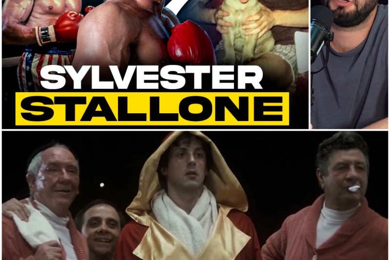 El Día que Sylvester Stallone Tocó Fondo: La Desgarradora Historia de Hambre, Sacrificio y Resiliencia Antes de Crear a Rocky