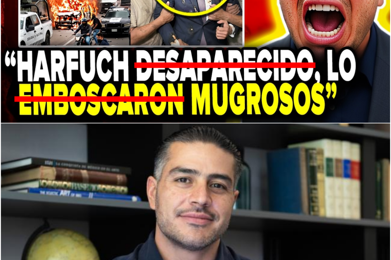 HARFUCH SUFRE EMBOSCADA en NAYARIT: EXPLOTAN su CONVOY y se ENCUENTRA DESAPARECIDO