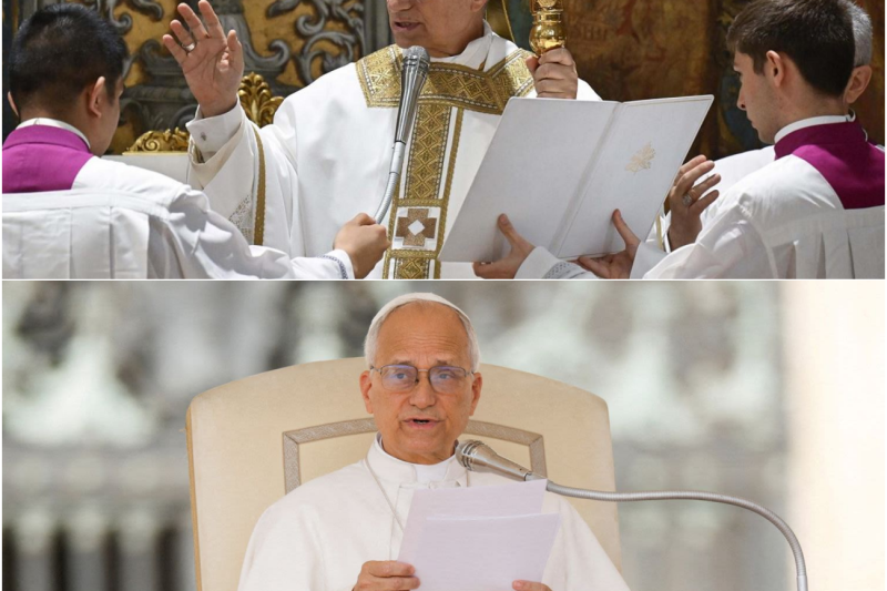 El Papa León XIV Lanza una Fuerte Advertencia Global: La Alianza Histórica para Salvar a la Humanidad de la Indiferencia
