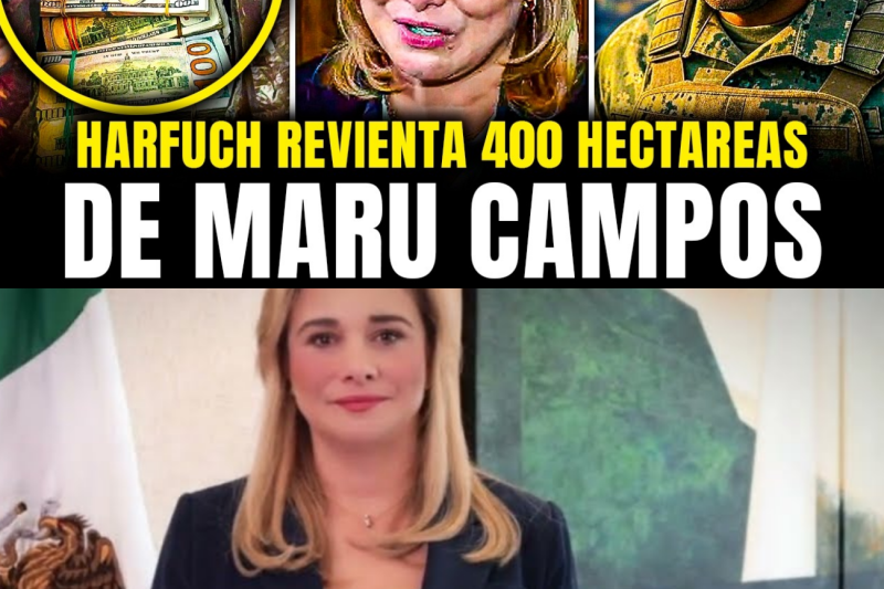 HARFUCH ASEGURA 400 HECTÁREAS de MARU CAMPOS en CHIHUAHUA por 200 MILLONES de DÓLARES –