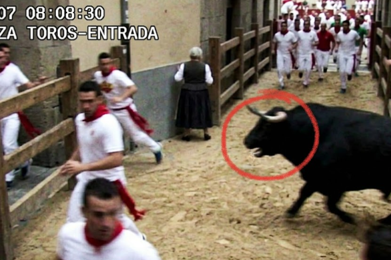 Pánico, millones en juego y un destino insólito: El misterio del anillo devorado por un toro en San Fermín que estremece a Pamplona