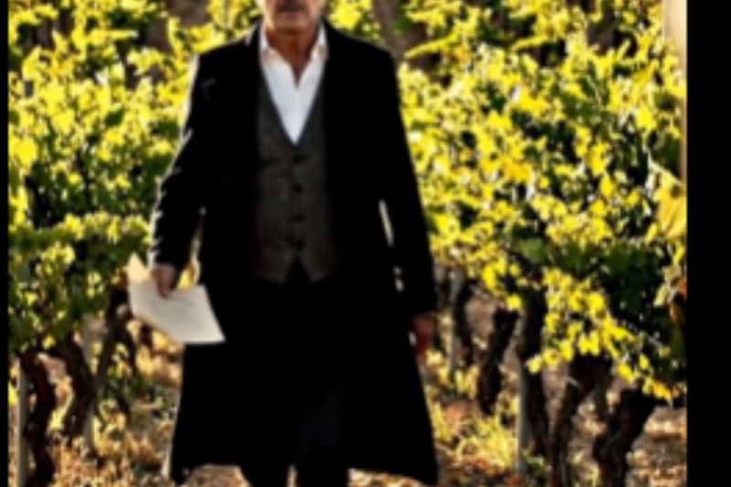El Heredero Desconocido de La Rioja y la Deuda de Sangre que un Perro Maltratado vino a Cobrar