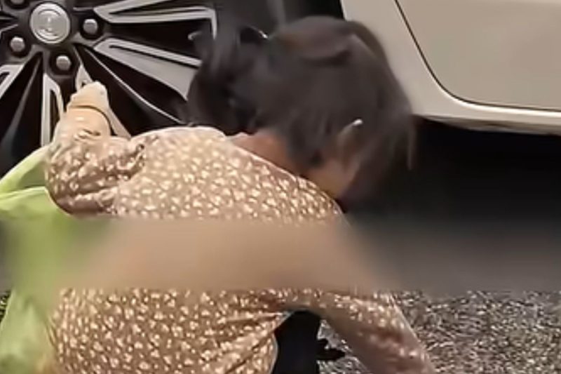 El Pequeño Gran Maestro: La Lección de un Niño que Conmovió al Mundo de los Adultos NH