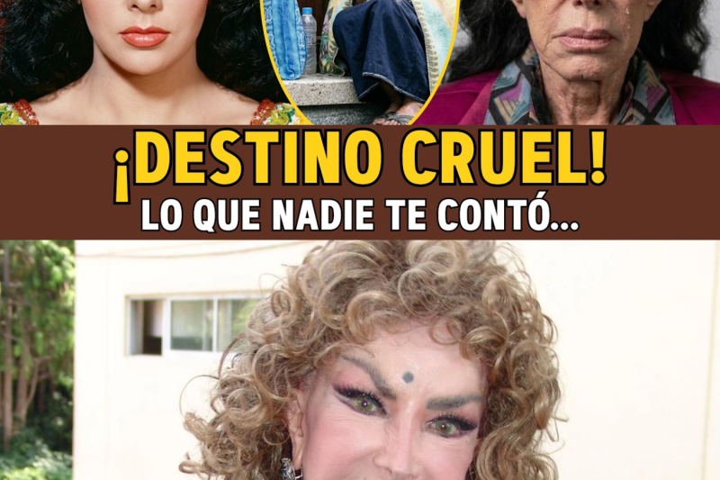Irma Serrano: Del Poder al Escándalo… La Caída Más Impactante de una Vida Lleno de Secretos VL
