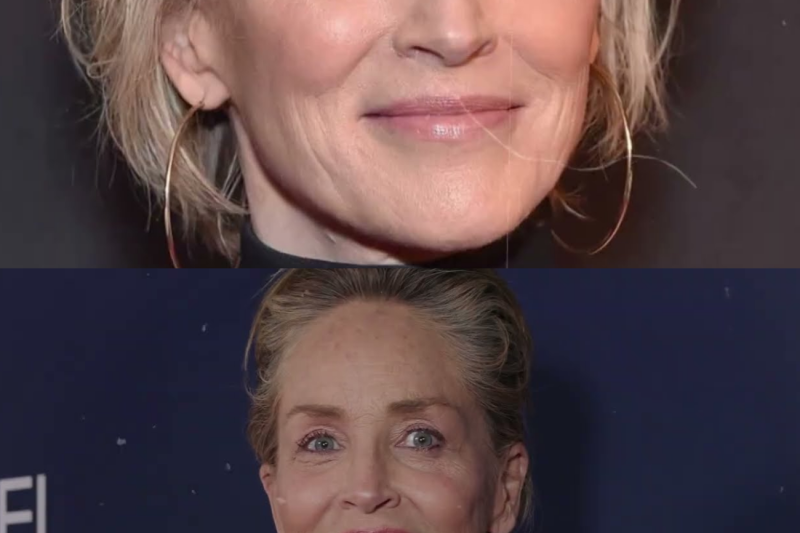 ¿Qué le sucedió a Sharon Stone a los 68 años? Intenta no llorar al leer esto.