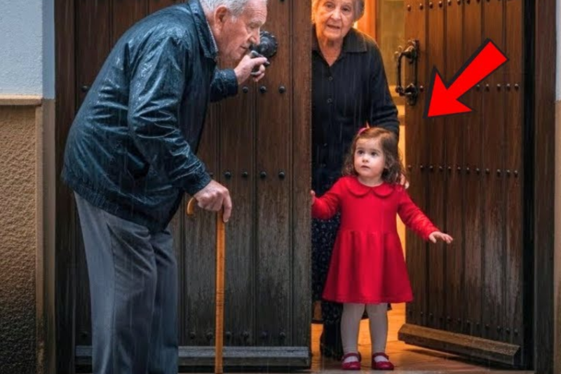 El Anciano Que Llamó A La Puerta Con Sus Últimas Fuerzas… Y La Mujer Que Le Ofreció Algo Increíble