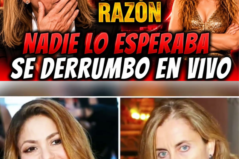 El Puente de la Vida: La Aterradora Inundación y la Cadena Humana que Desafió a la Muerte para Salvar a una Familia