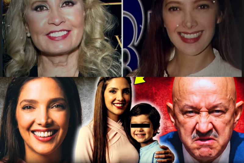 El pacto del silencio: Por qué Adela Noriega se esfumó del mapa tras su vinculación con Carlos Salinas de Gortari