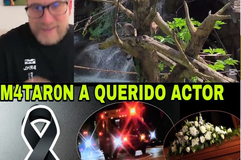 Luto y conmoción en el espectáculo: de los alarmantes diagnósticos de salud al escalofriante crimen que estremece a Hollywood