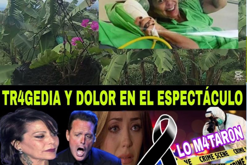 Luto y conmoción en el espectáculo: del dramático accidente del hijo de Mauricio Barcelata al trágico asesinato del abogado de las estrellas en la Ciudad de México