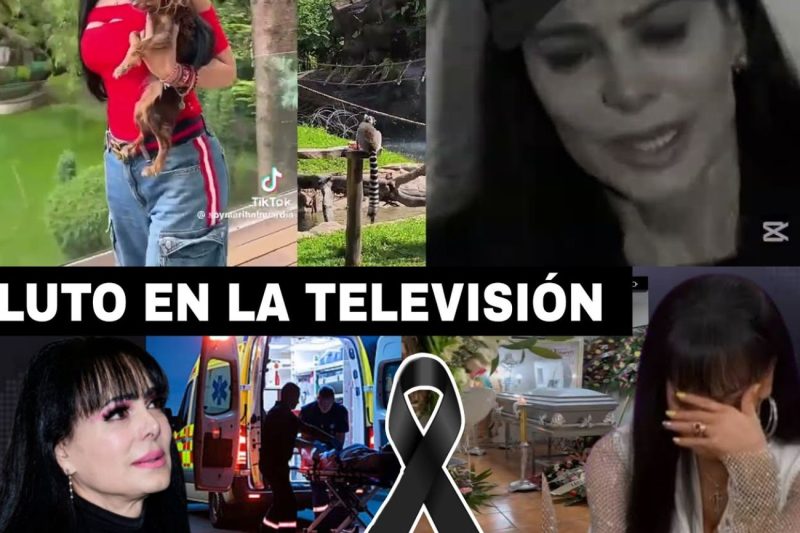 Luto en la televisión y decisiones desgarradoras: El trágico adiós de Gustavo Angarita y el dramático retiro de Maribel Guardia de su hogar