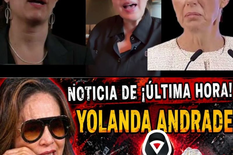 Entre lágrimas y dolor: Yolanda Andrade exige justicia a Claudia Sheinbaum y señala a su propio medio hermano por desapariciones en Sinaloa