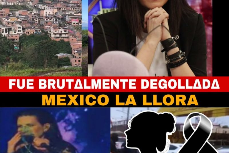 Doble conmoción internacional: El dramático colapso en vivo de Laura Pausini y la brutal tragedia que estremece a un restaurante en México