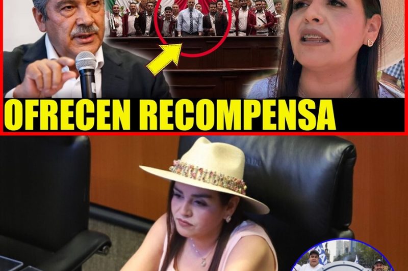 ¡Tensión en Michoacán!: Grecia Quiroz reta a dejar el cargo por acusaciones de “aviadora” mientras Raúl Morón comparece ante la Fiscalía
