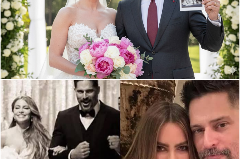 El renacer de Sofía Vergara a los 53 años: del silencio estratégico tras su divorcio al anuncio de una nueva vida y planes de boda