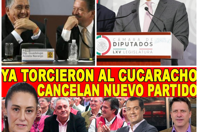 La Guerra de los Datos: El Partido Rosa Denuncia Robo Sistemático Mientras Morena lo Califica de “Proyecto Muerto”