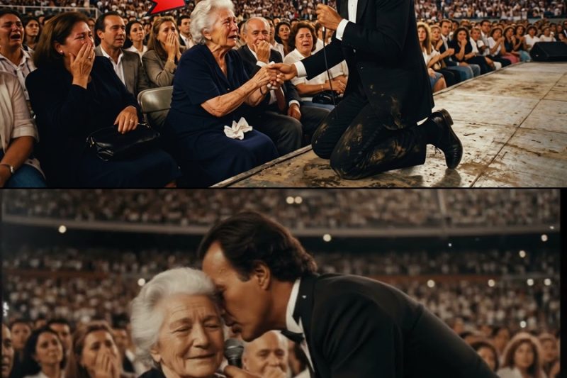 Julio Iglesias DETUVO La Canción Cuando Vio a Una Anciana Llorando — Fila 14 — 40.000 En Silencio