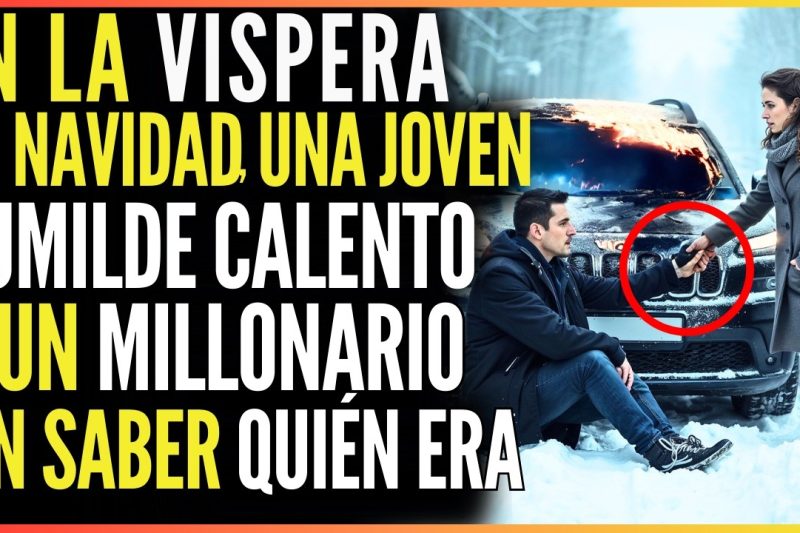 En la Víspera de Navidad, una Joven Humilde Calentó a un Millonario sin Saber Quién Era…