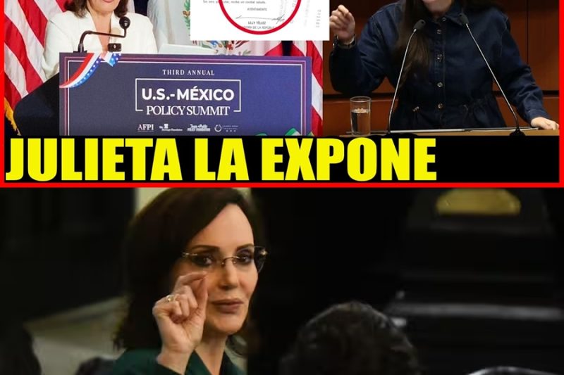 Filtran documentos del ausentismo de Lilly Téllez: La acusan de boicotear el Senado y operar como cabildera en Washington