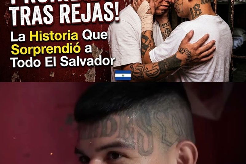 Amor tras las rejas de la MS13 y el Barrio 18: El peligroso y secreto romance entre pandilleros que desafía la ley de muerte en las cárceles de El Salvador