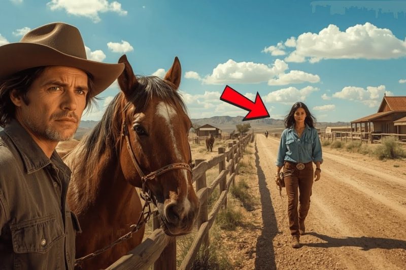 El vaquero buscaba cuidador de caballos. Una mujer inesperada dijo_ ‘Yo puedo hacerlo’