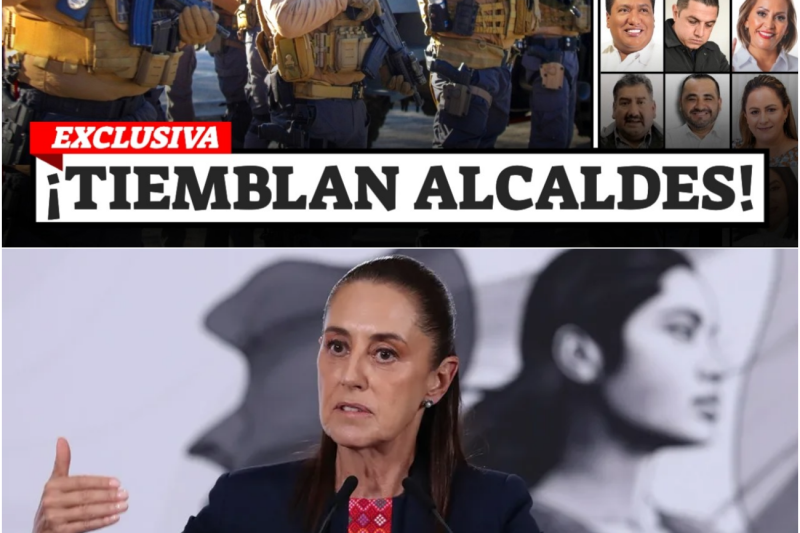 Operación Enjambre: La Cacería de 15 Alcaldes, Choques Diplomáticos y la Reconfiguración del Crimen Organizado
