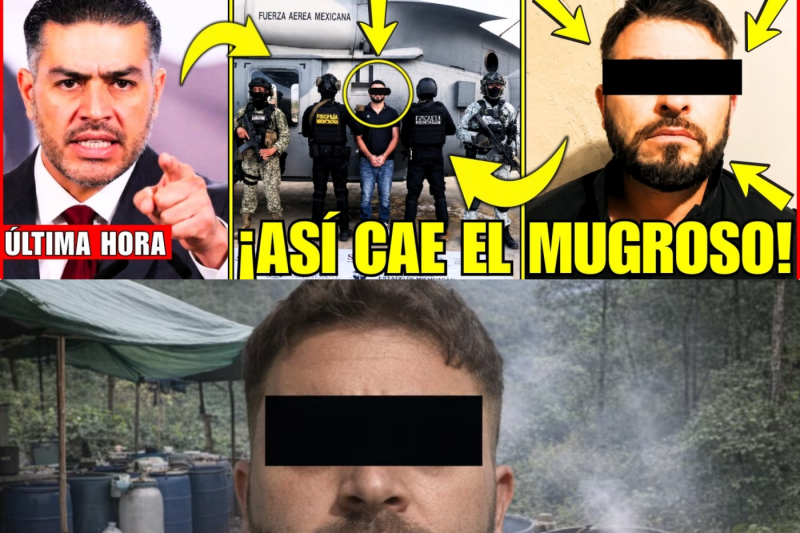 ¡HARFUCH REVIENTA a “EL REPOLLO” OPERADOR del “ABUELO FARÍAS” con HELICOPTERO ARTILLADO!