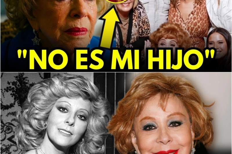 El OSCURO SECRETO por el que SILVIA PINAL Dejó FUERA del TESTAMENTO a UNO De Sus HIJOS