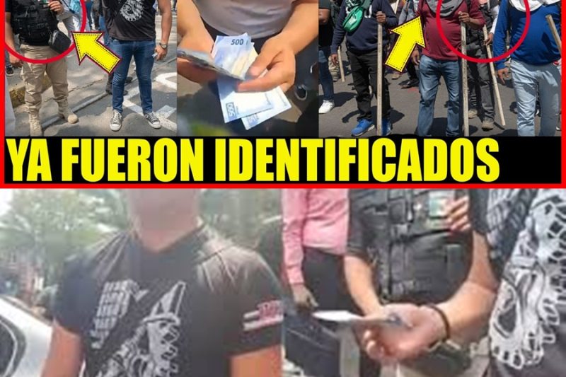 Escándalo en las calles: Manifestantes con chalecos reparten fajos de dinero en efectivo en una polémica protesta contra el gobierno de la 4T